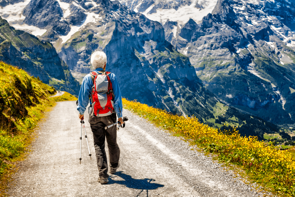 A back view of a person on a trail with a hiking day pack