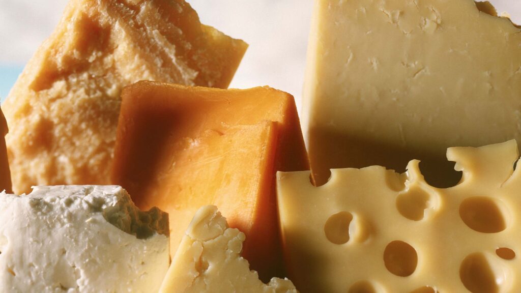 A close view of various kinds of cheese