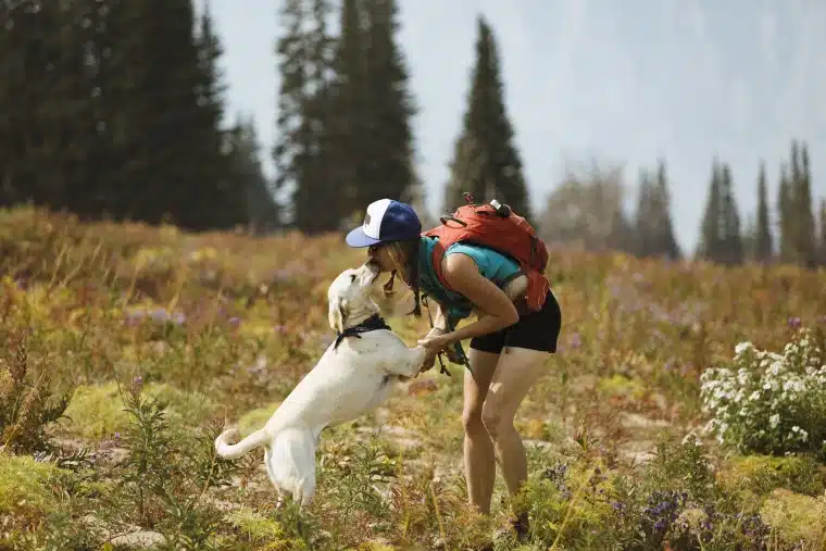 A girl playing with a hiking dog in hiking trail