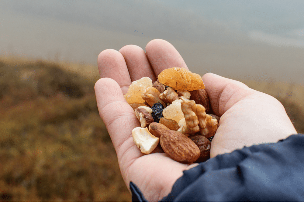 A hand with dried fruit and nuts