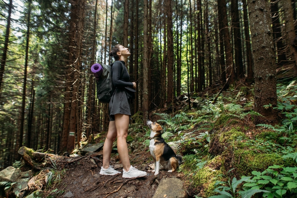 A view of a girl hiking along with a dog