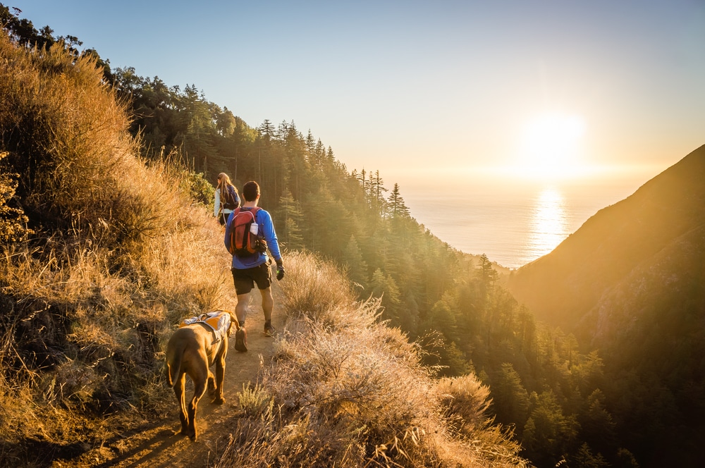 A view of two people hiking along with a dog