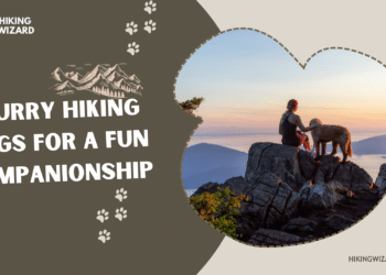 best hiking dogs for a furry companionship
