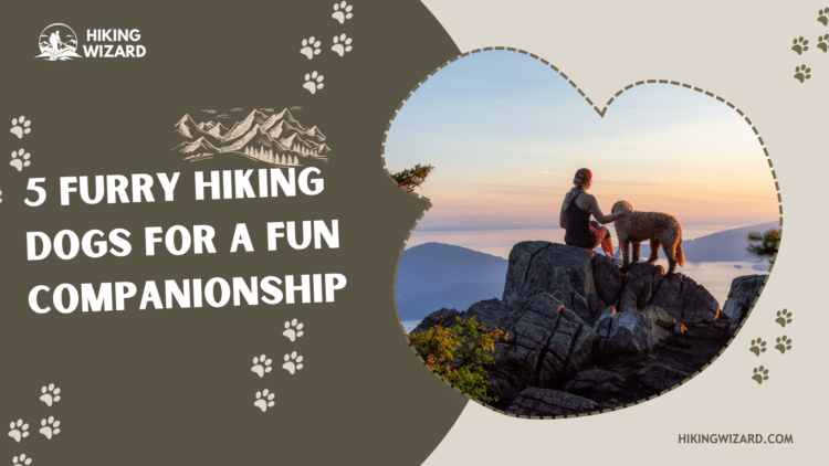 best hiking dogs for a furry companionship