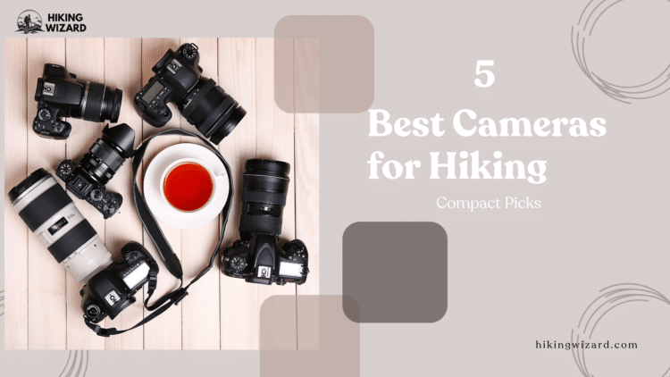 Best Cameras for Hiking