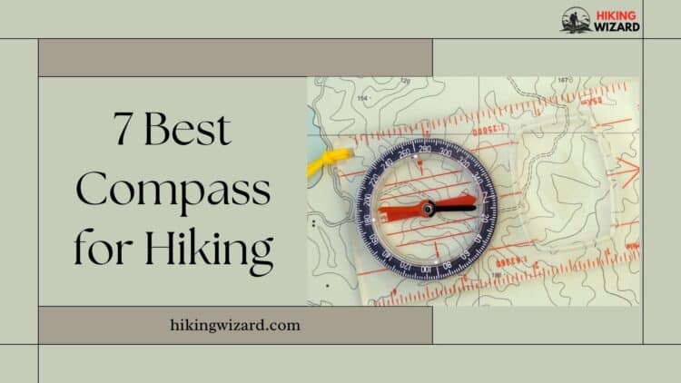 Best Compass for Hiking A Guide