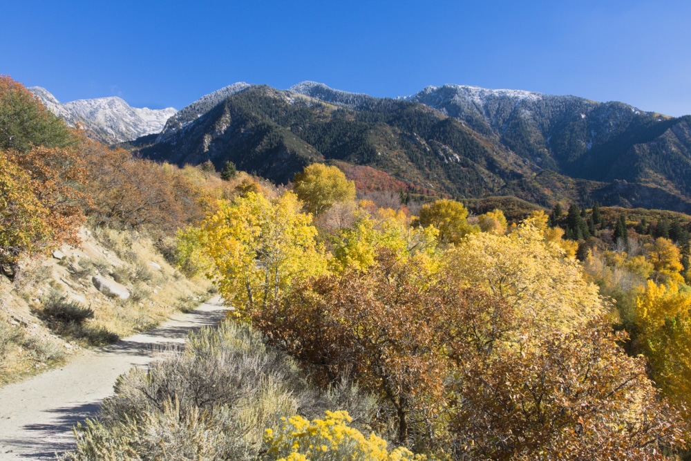 Hiking trail at Bells Canyon after a fresh coat of snow fell on the Wasatch mountain peaks in peak fall