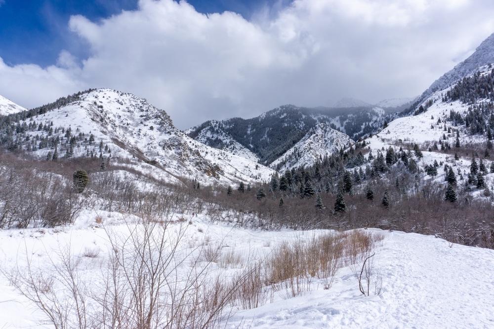 Neffs Canyon Covered In Snow Salt Lake City Utah