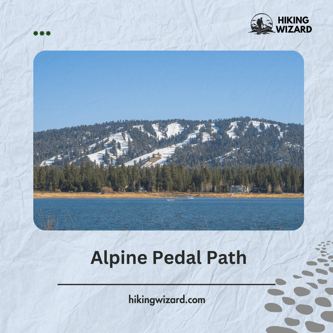 Scenic View of Alpine Pedal Path