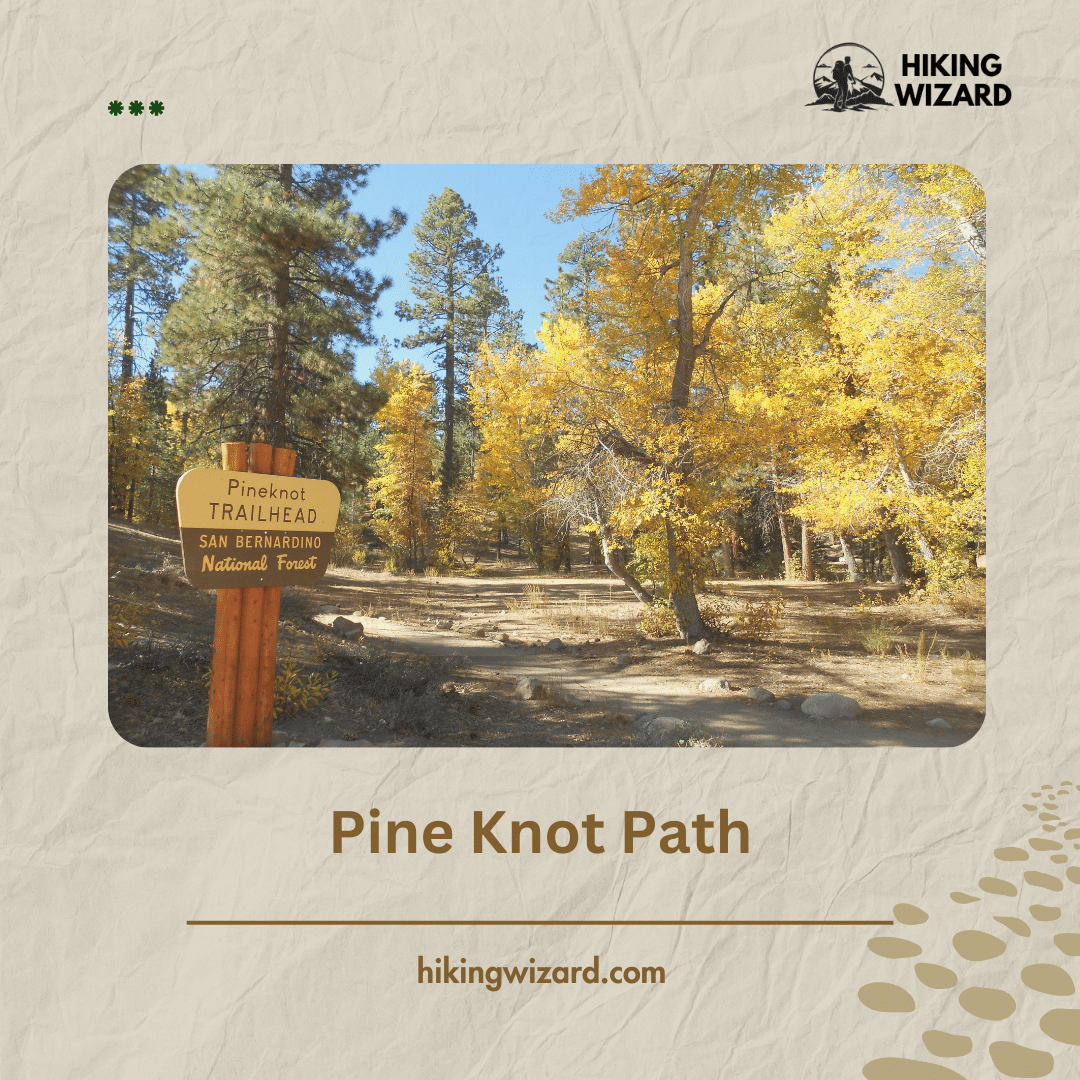 Scenic View of Pine Knot Path 