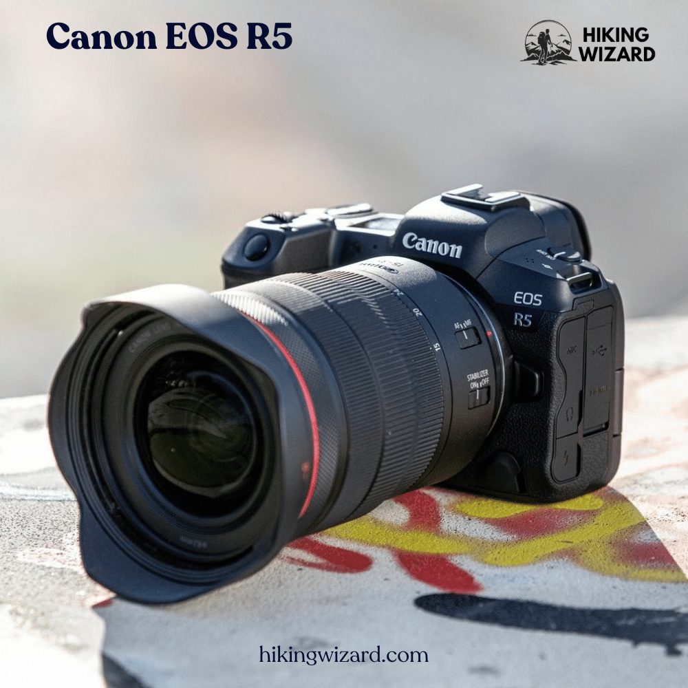 Zoomed in View of Canon EOS R  