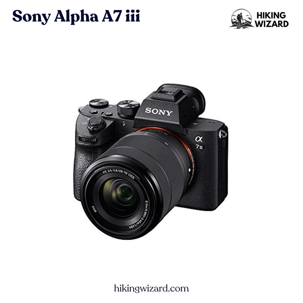 sony alpha a iii on a white background