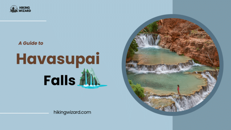 A Guide to Havasupai Falls