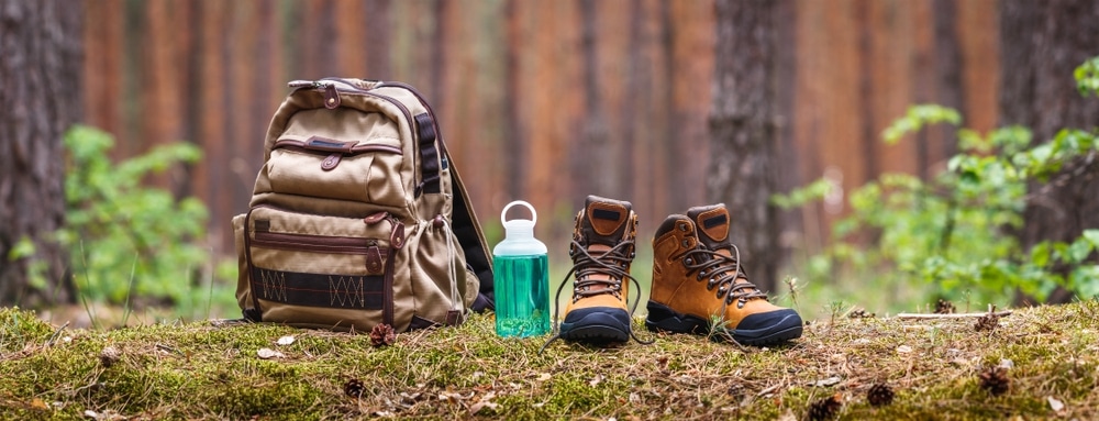 Hiking And Camping Equipment In Forest 