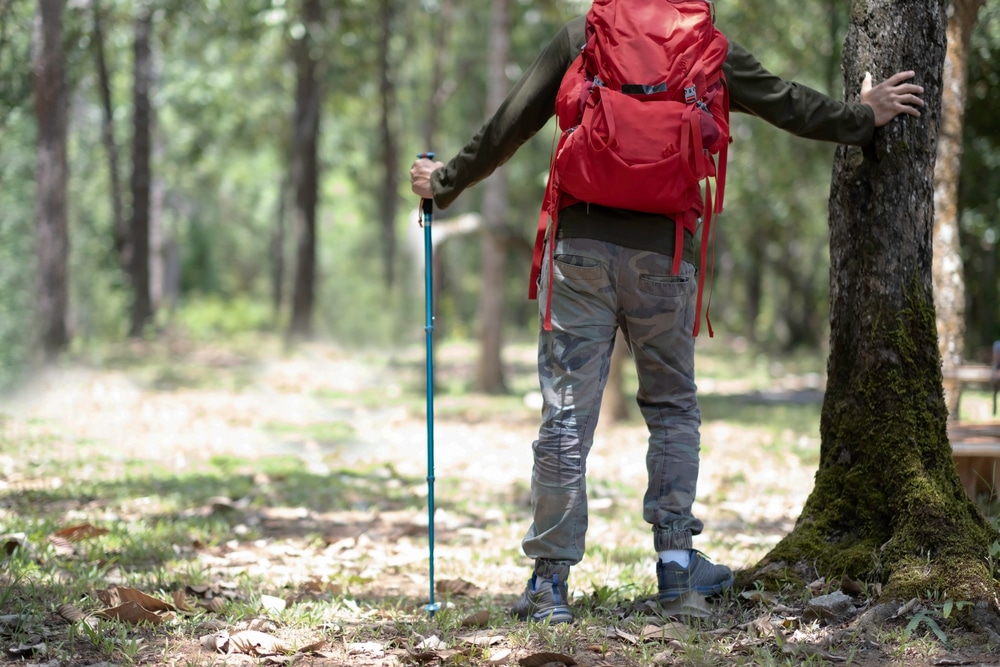 A man in dark green long sleeve t-shirt and long camouflag pants, red bag pack on his back and holding hiking pole