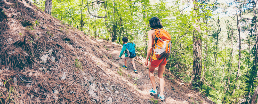 A woman and her child walk along a forest trail