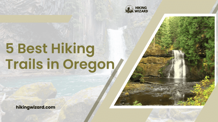 Best Hiking Trails in Oregon detailed guide ( )