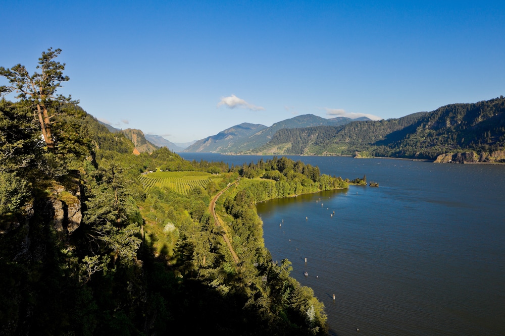 View Over Columbia River Columbia River Gorge Oregon