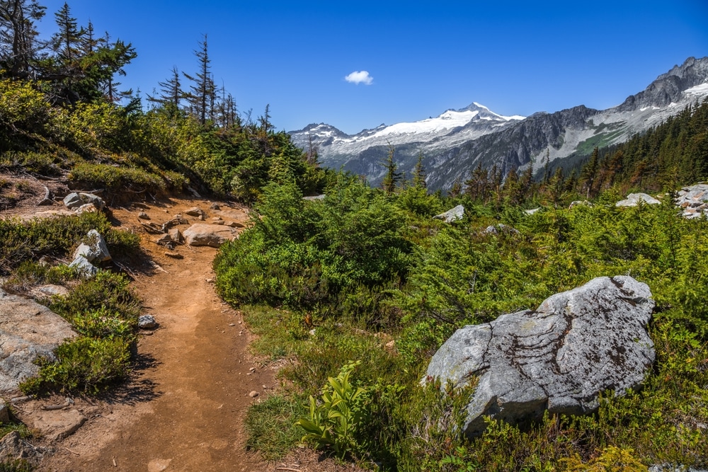 Cascade Pass Trail Views North Cascades National Park Washington State