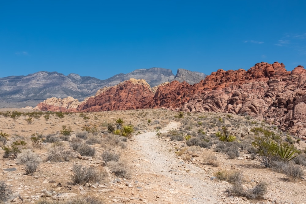 Close up view of rock formation of Aztec sandstone slickrock rock formation on the Calico Hills Tank Trail