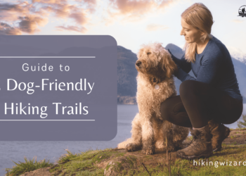 Guide to Dog Friendly Hiking Trails ( )