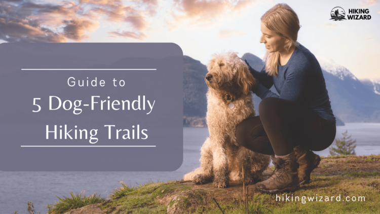 Guide to Dog Friendly Hiking Trails ( )