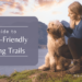 Guide to Dog Friendly Hiking Trails ( )