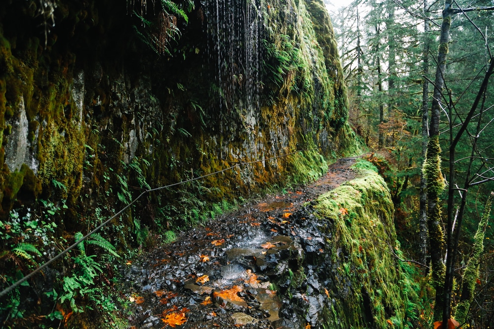 The Eagle Creek Trail In Cascade Locks Oregon Skirts A