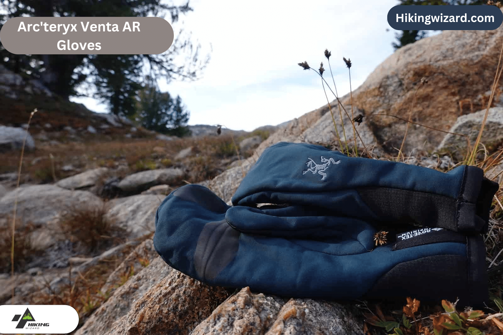 Arc'teryx Venta AR Gloves placed on a rock