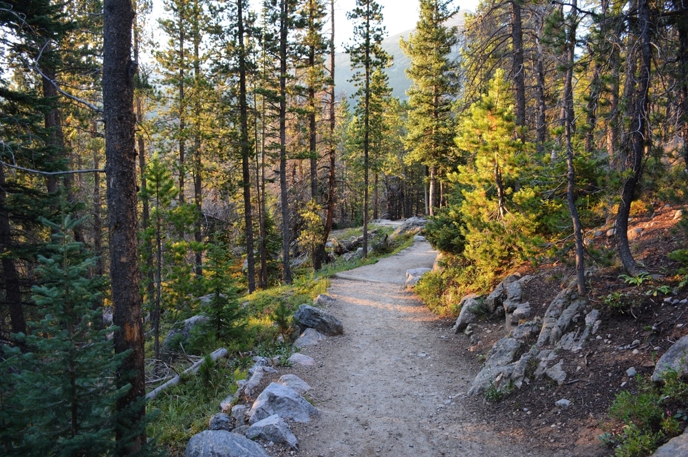 Morning Light Along Glacier Gorge Trail In Rocky Mountain National