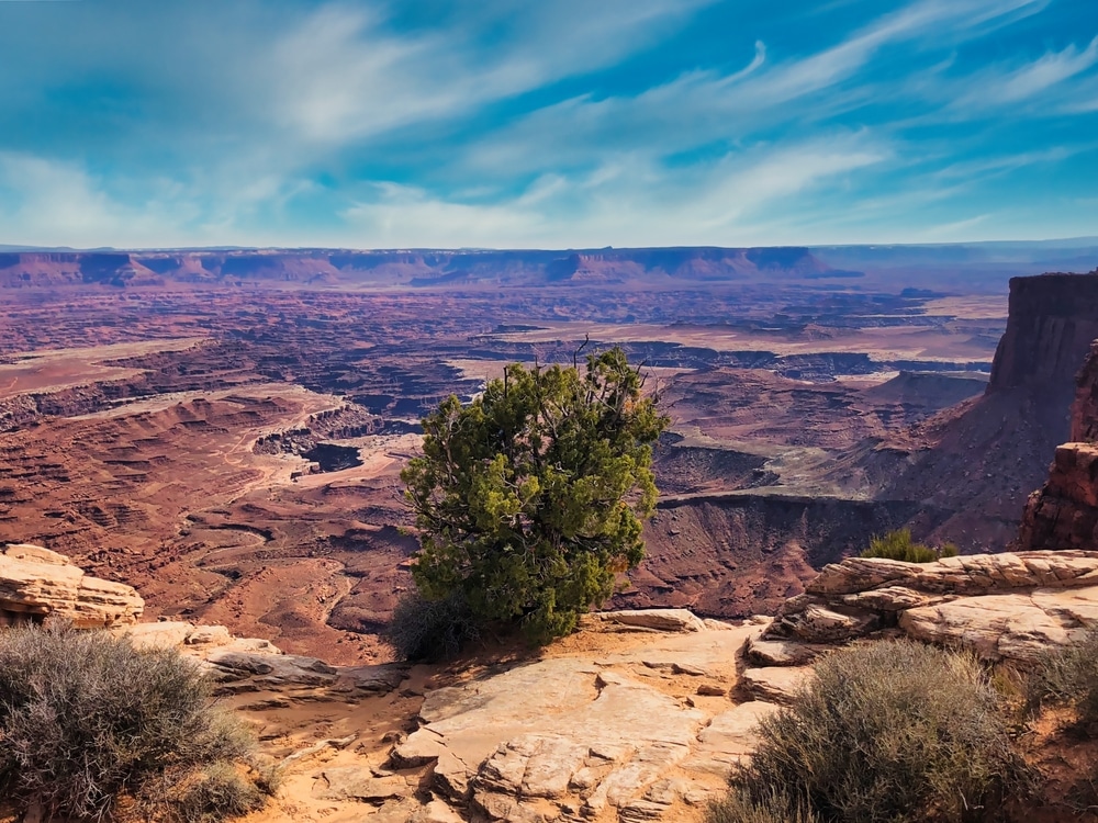 Grand View Point In Canyonlands National Park 