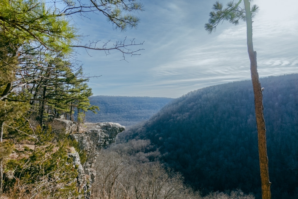 Hawksbill Crag Whitaker Point In Ozark National Forest Arkansas