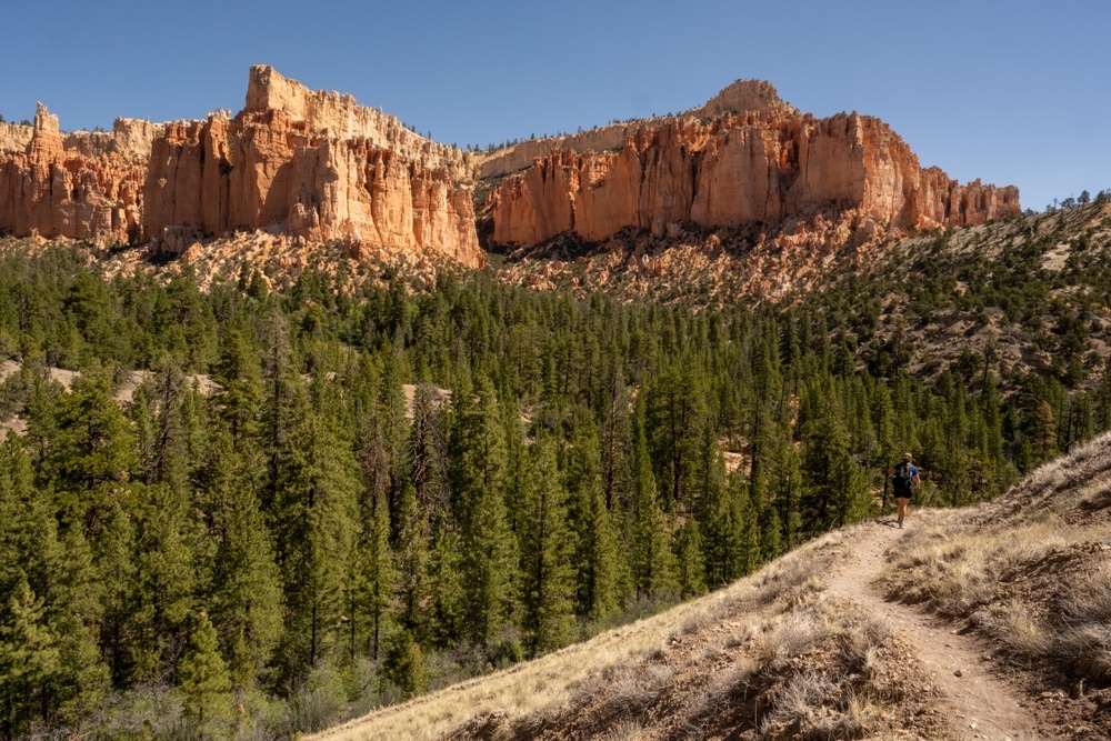 Under The Rim Trail With Female Hiker Bending Around Corner