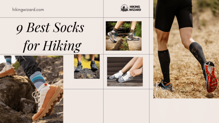 Best Socks for Hiking A comprehensive guide ( )