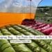 Best Hiking Sleeping Bag Top Picks for Comfort & Warmth